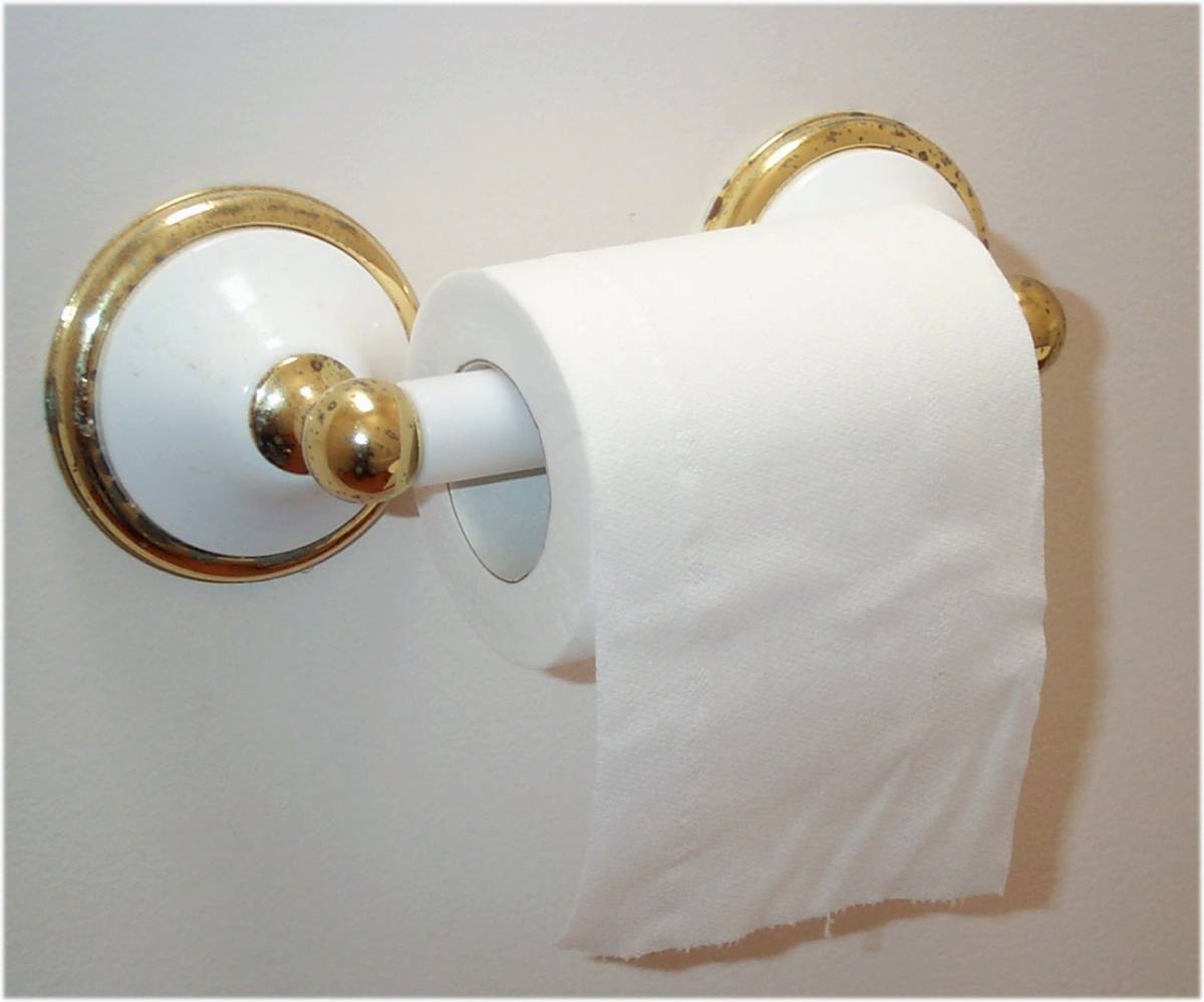 Toilet paper10.jpg